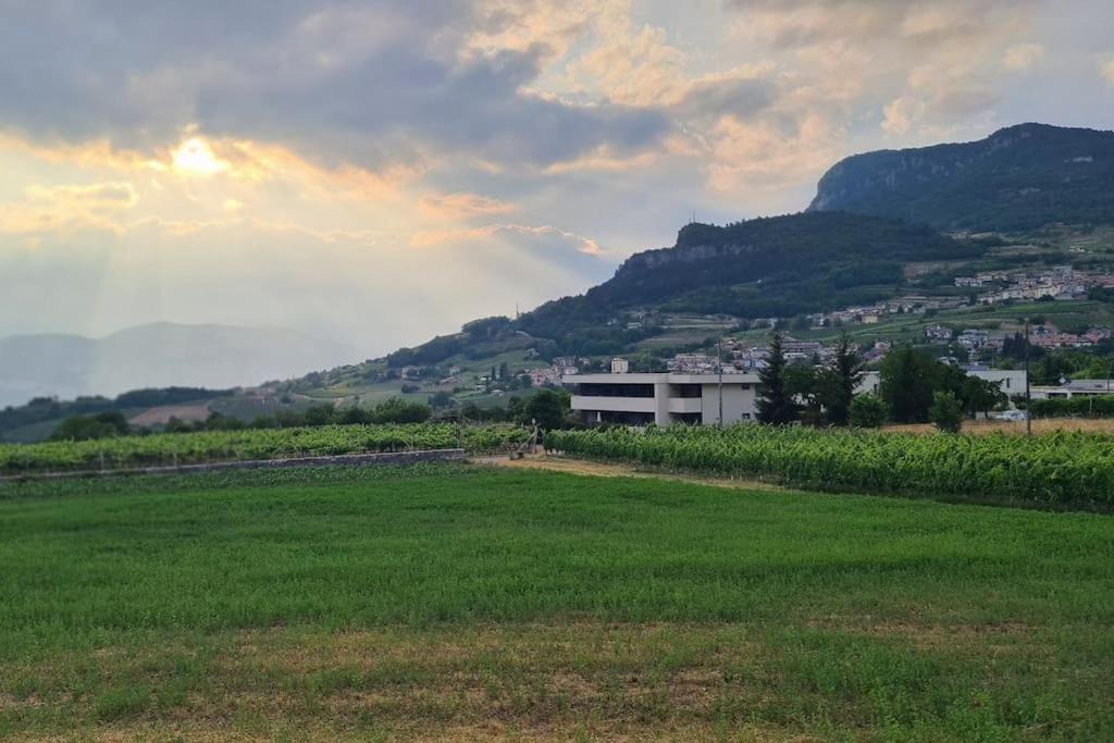 Appartamenti Moderni, Luminosi E Tranquilli Con Parcheggio Privato - Agritur La Tenuta 特伦托 外观 照片