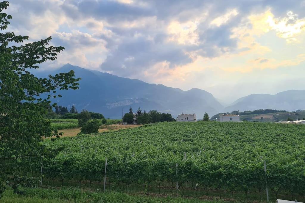 Appartamenti Moderni, Luminosi E Tranquilli Con Parcheggio Privato - Agritur La Tenuta 特伦托 外观 照片