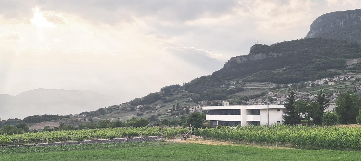 Appartamenti Moderni, Luminosi E Tranquilli Con Parcheggio Privato - Agritur La Tenuta 特伦托 外观 照片