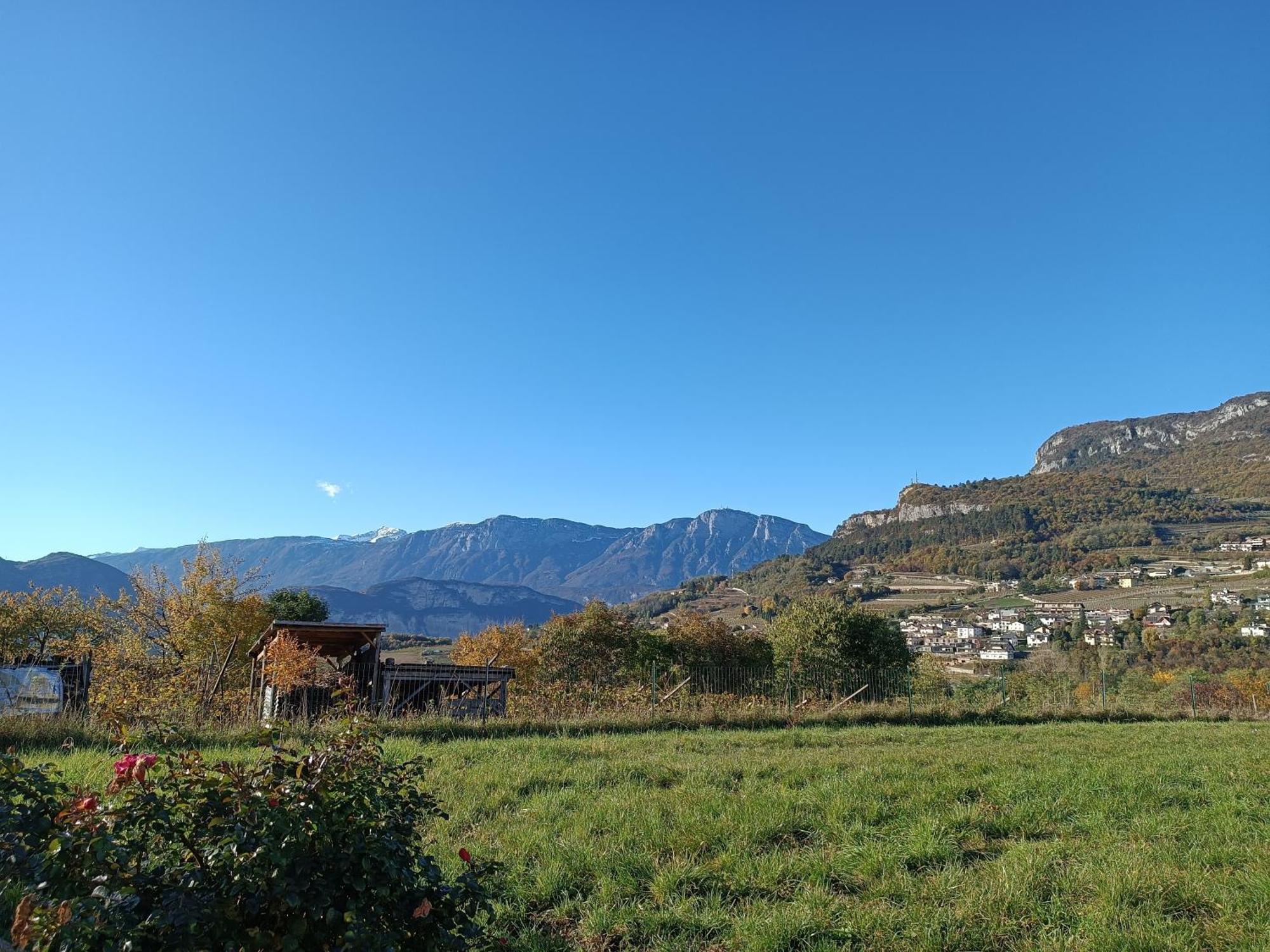 Appartamenti Moderni, Luminosi E Tranquilli Con Parcheggio Privato - Agritur La Tenuta 特伦托 外观 照片